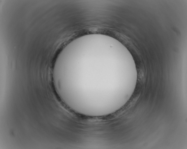 X0000115810470200911131046