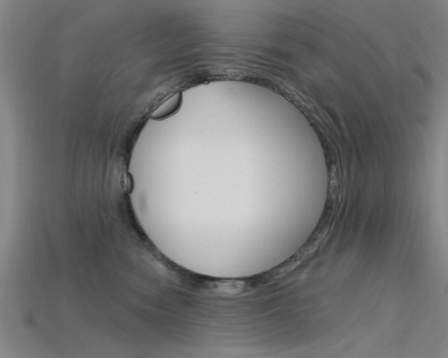 X0000115810474200911131046
