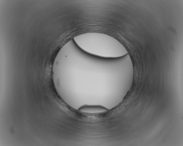 X0000115810475200911131046