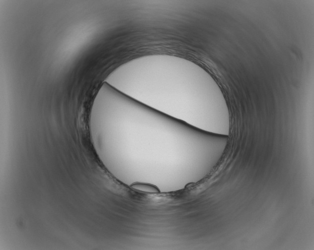 X0000115810477200911131046
