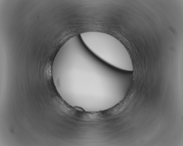 X0000115810479200911131046