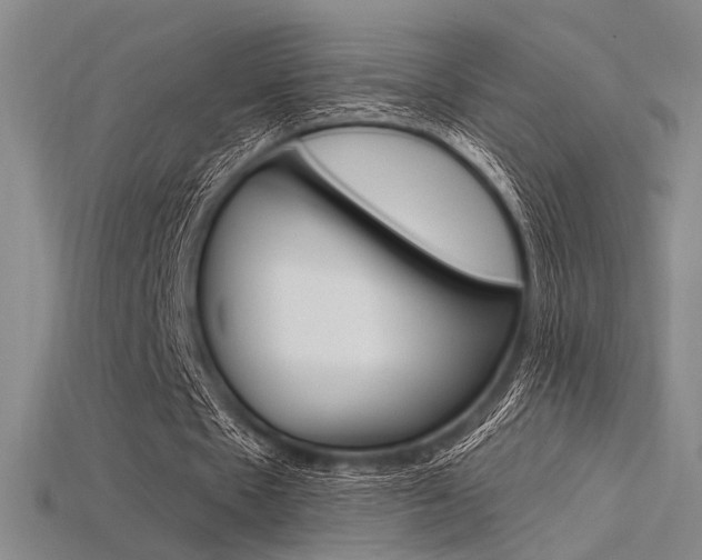 X0000115810481200911131045