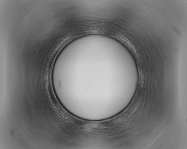 X0000115810482200911131045