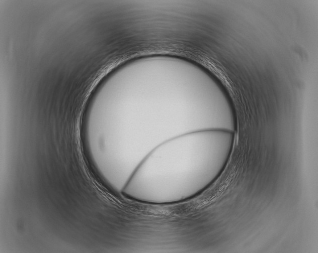 X0000115810483200911131045