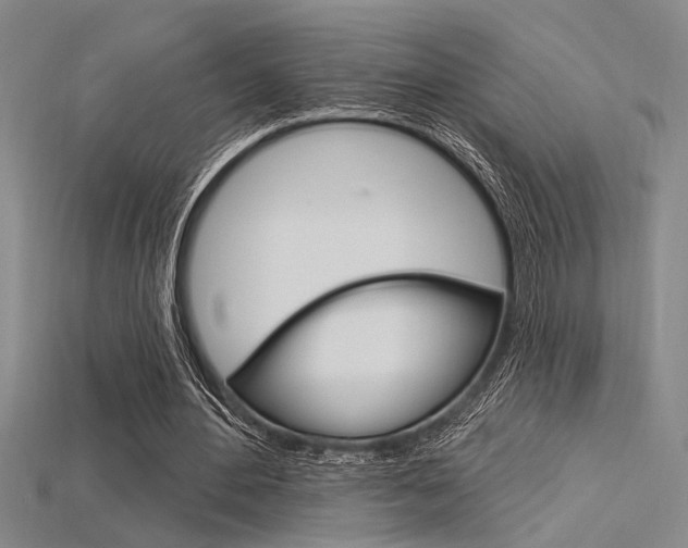 X0000115810484200911131045