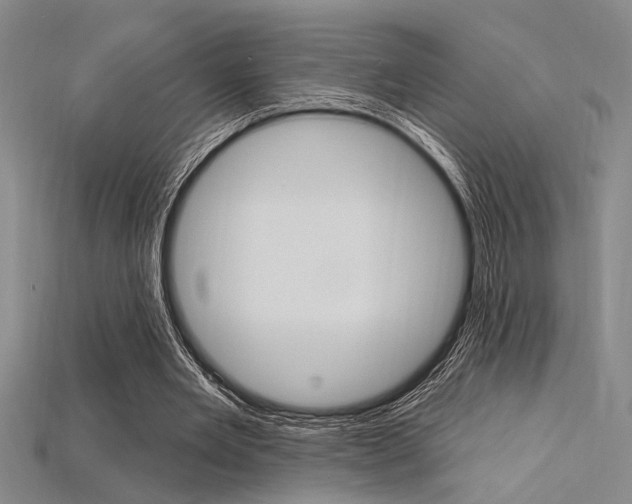 X0000115810485200911131045