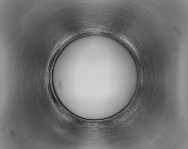 X0000115810486200911131045