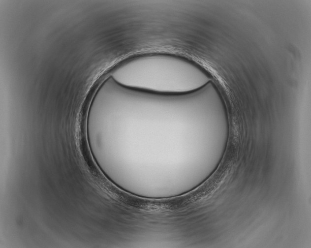 X0000115810487200911131045
