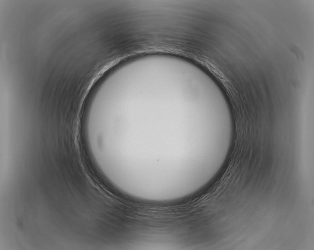 X0000115810488200911131045