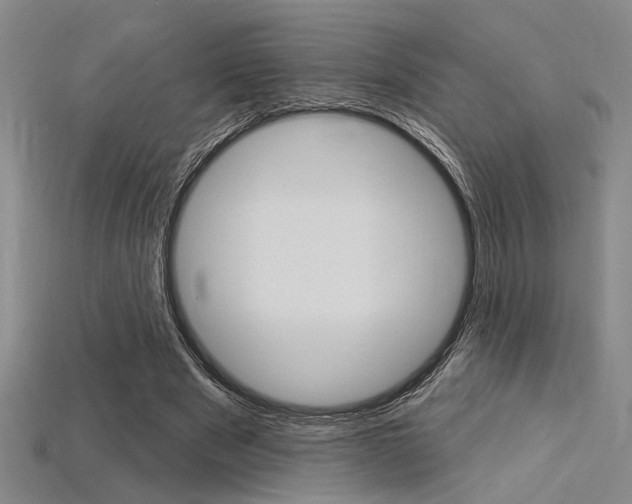 X0000115810489200911131045