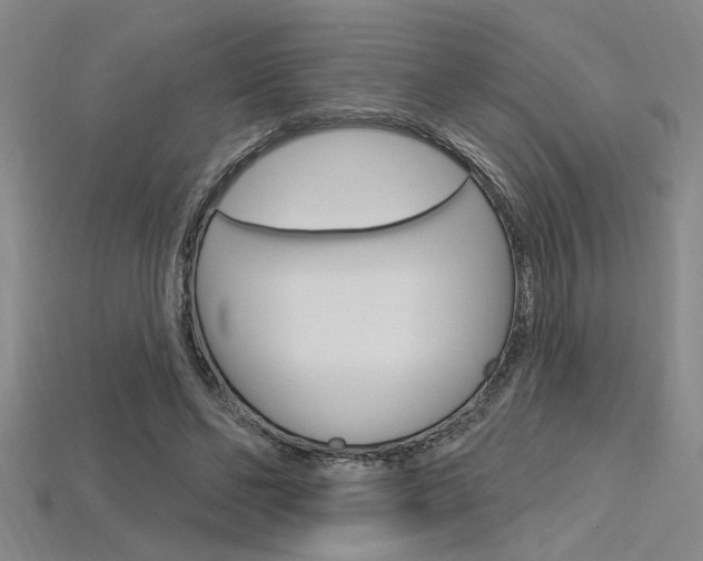 X0000115810494200911131045