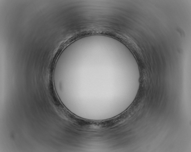 X0000115810496200911131045