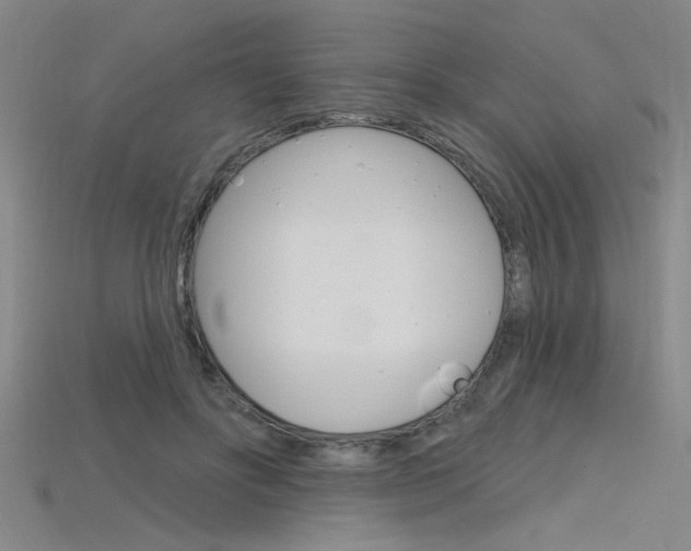 X0000115810502200911131045