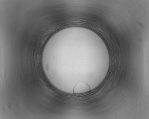 X0000115810504200911131045