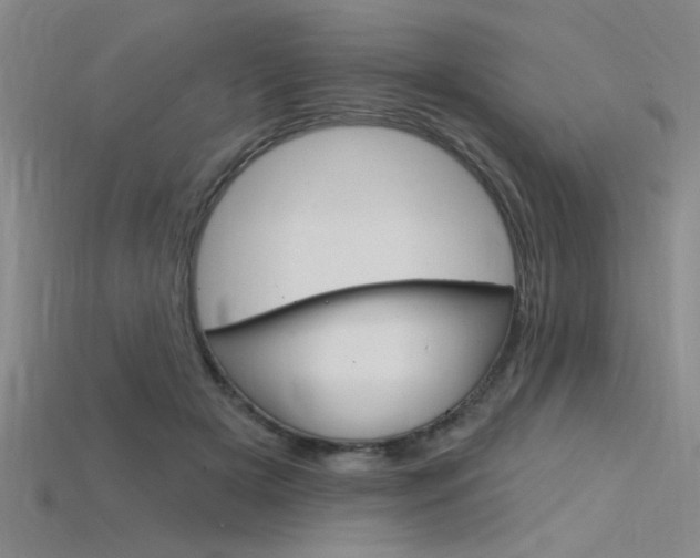 X0000115810505200911131045
