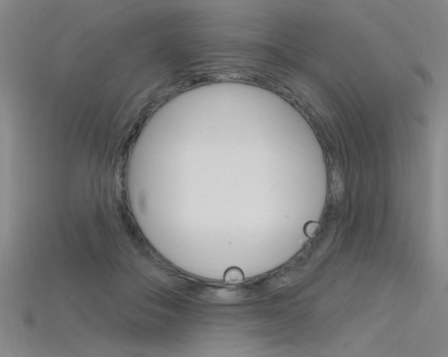 X0000115810506200911131045