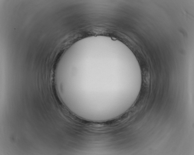 X0000115810507200911131045