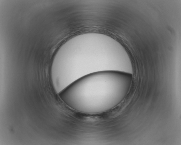X0000115810508200911131045