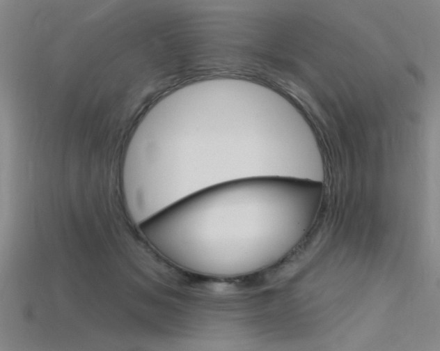 X0000115810509200911131045