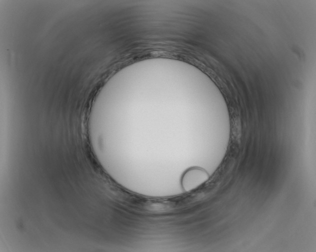 X0000115810510200911131045