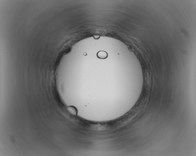 X0000115810511200911131045
