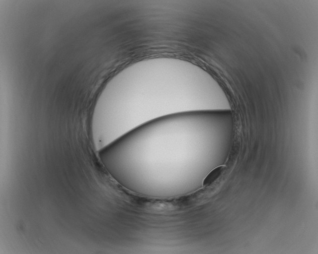 X0000115810512200911131045