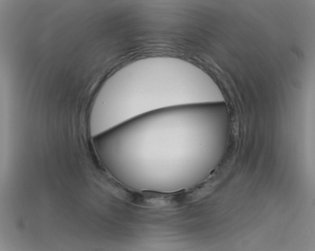 X0000115810516200911131045