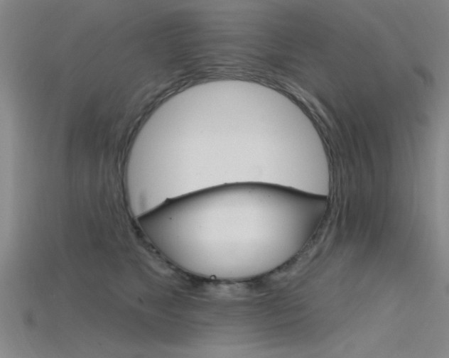 X0000115810517200911131045