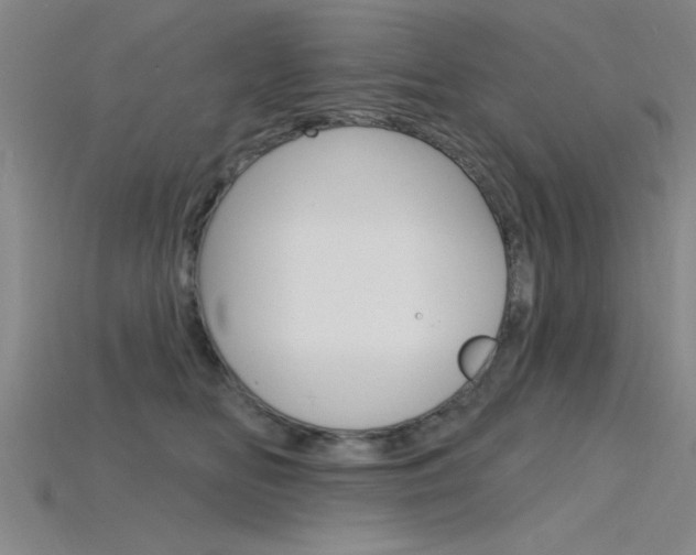 X0000115810518200911131045