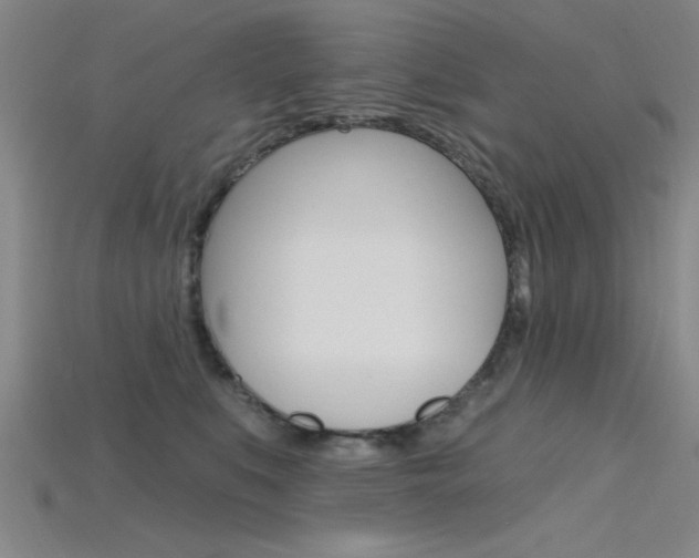 X0000115810519200911131045