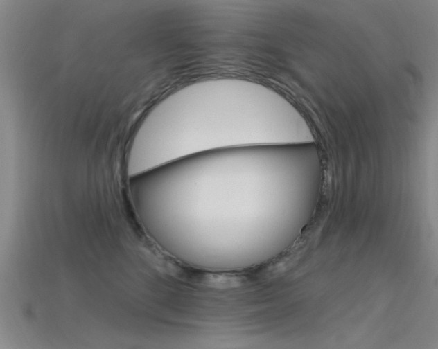 X0000115810520200911131045