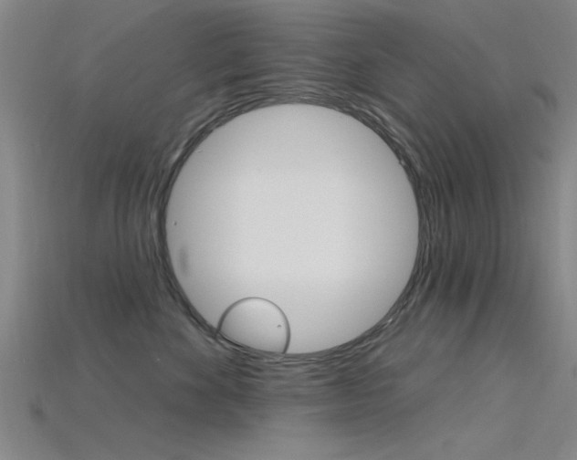 X0000115810524200911131045