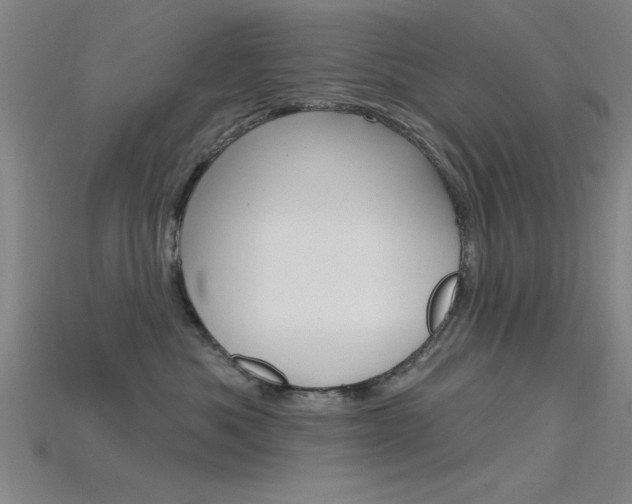 X0000115810525200911131045