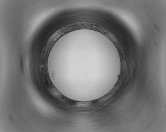 X0000115810526200911131045