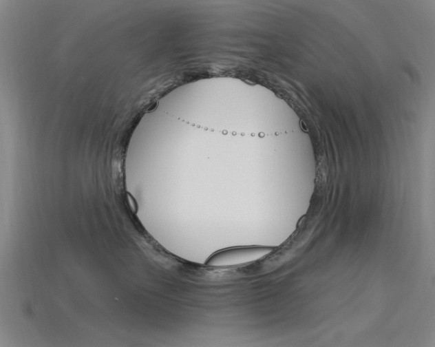 X0000115810527200911131045