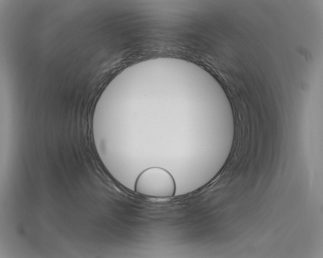 X0000115810528200911131045