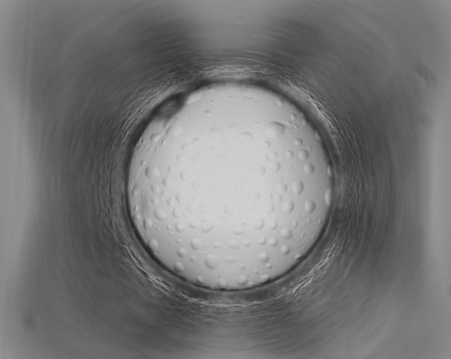 X0000115810529200911131044