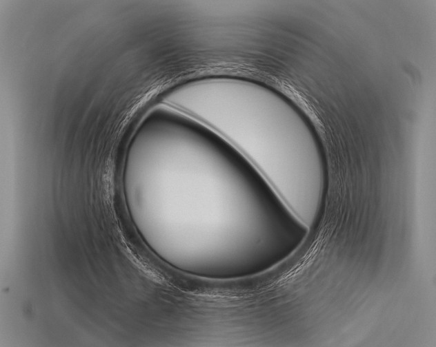 X0000115810530200911131044