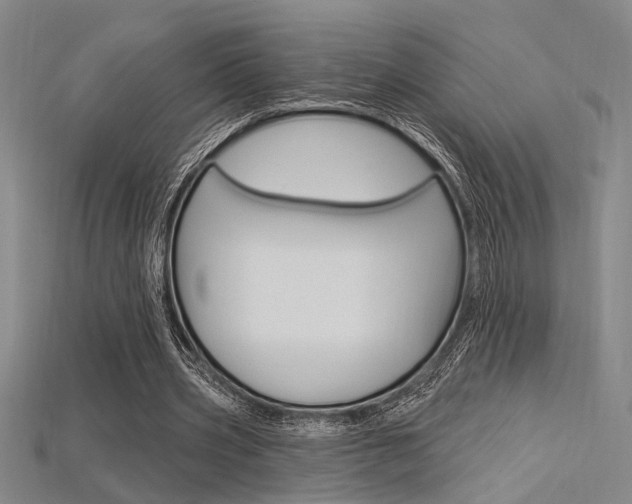 X0000115810533200911131044