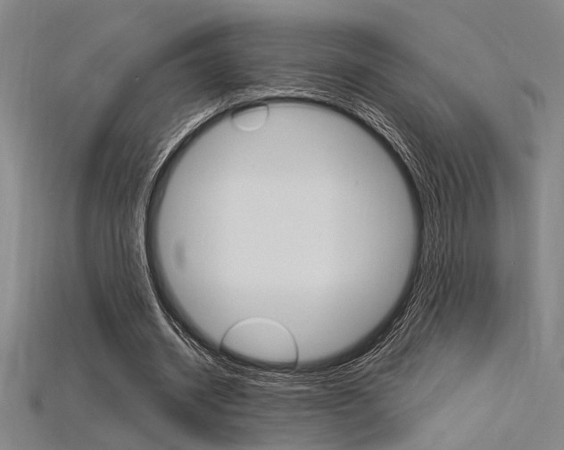 X0000115810534200911131044