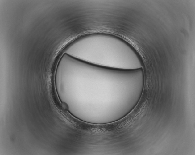 X0000115810535200911131044