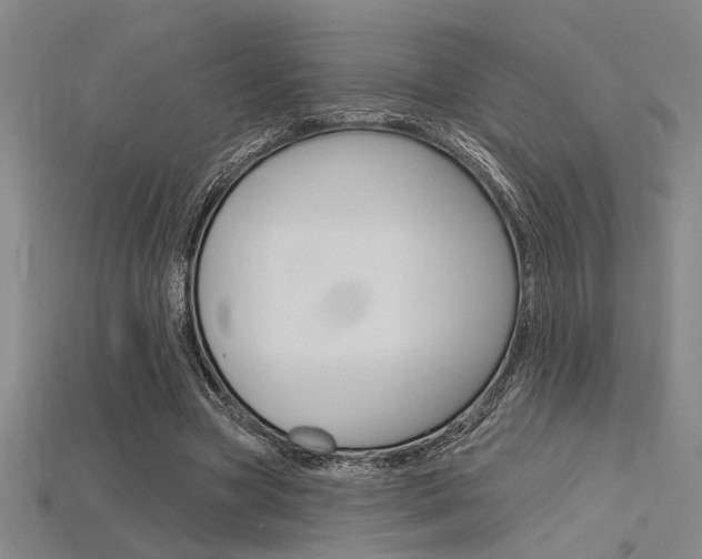 X0000115810537200911131044