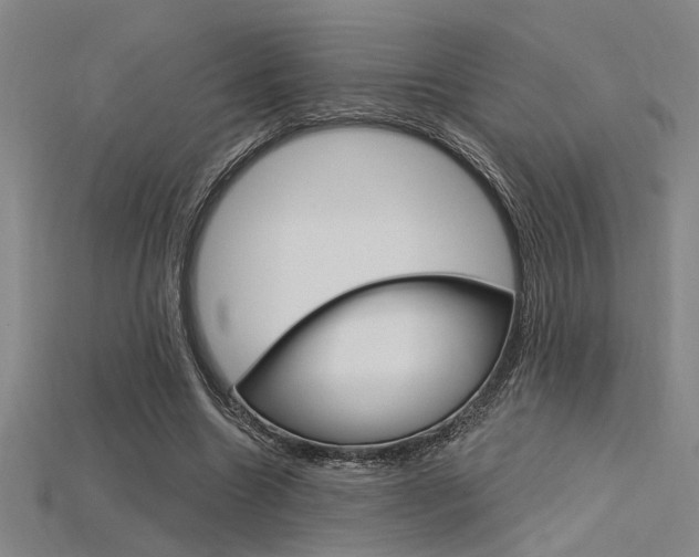 X0000115810538200911131044