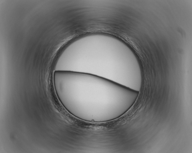 X0000115810539200911131044