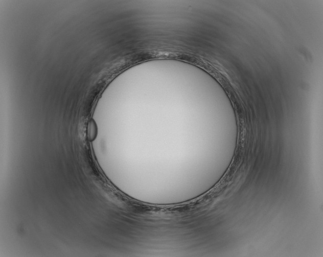 X0000115810545200911131044