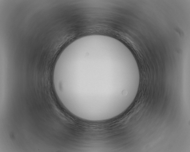 X0000115810546200911131044