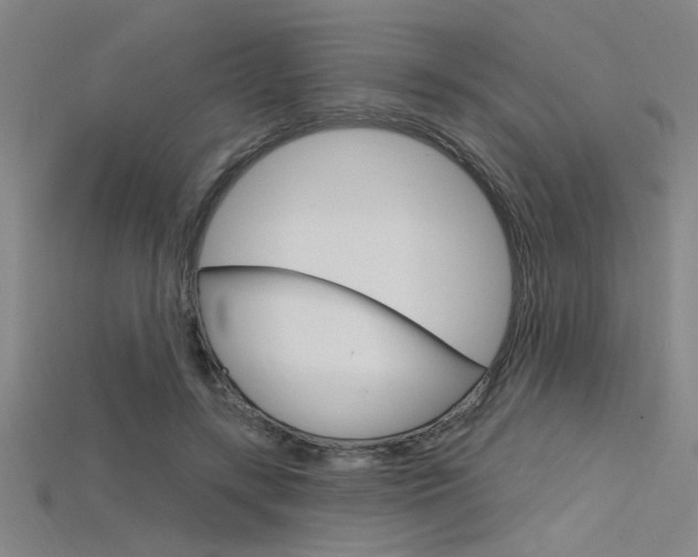 X0000115810547200911131044