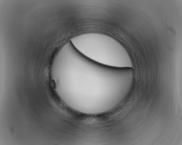 X0000115810551200911131045