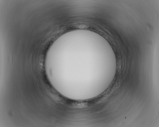 X0000115810553200911131045
