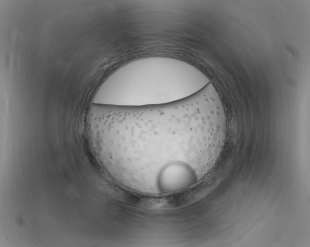 X0000115810554200911131045